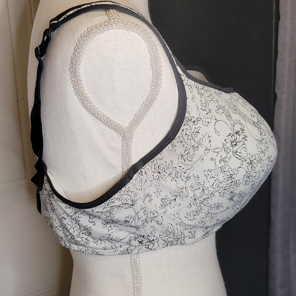 Cacique Bra - image 2